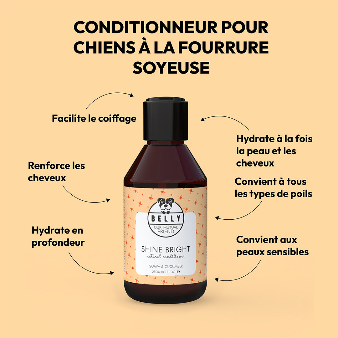 Conditionneur de brillance