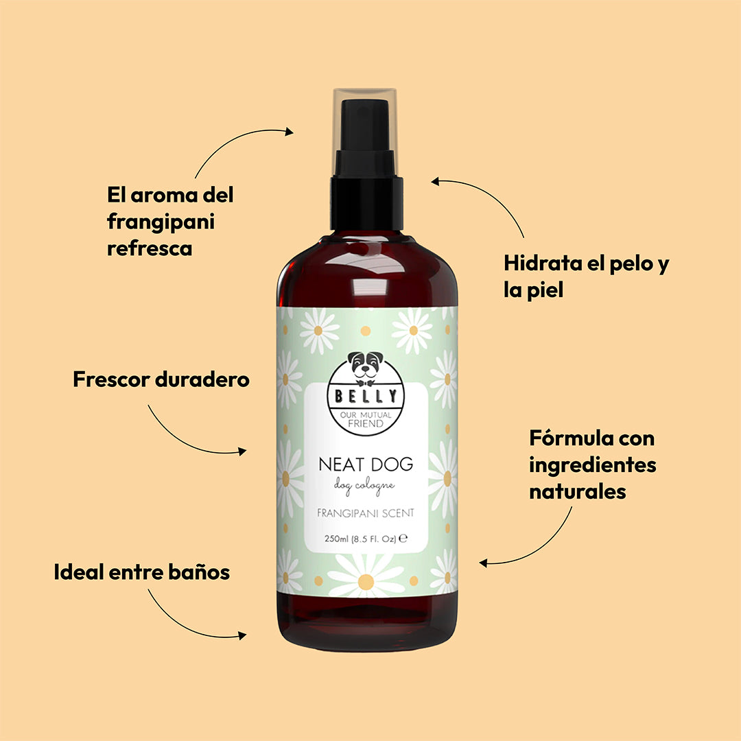 Fragancia de perro ordenado frangipani