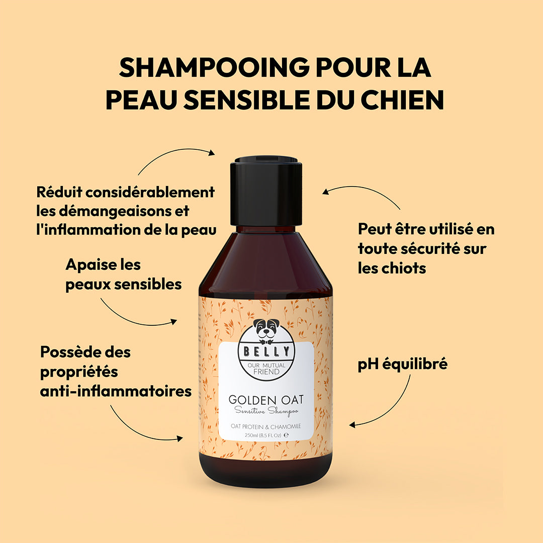 Shampooing avoine