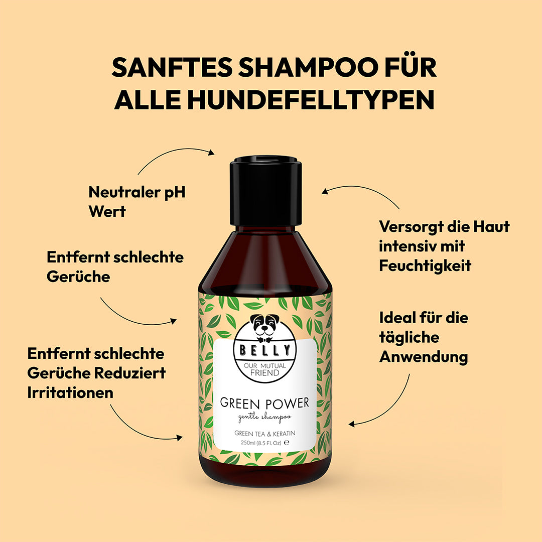 Grüner Tee Shampoo