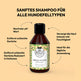 Grüner Tee Shampoo