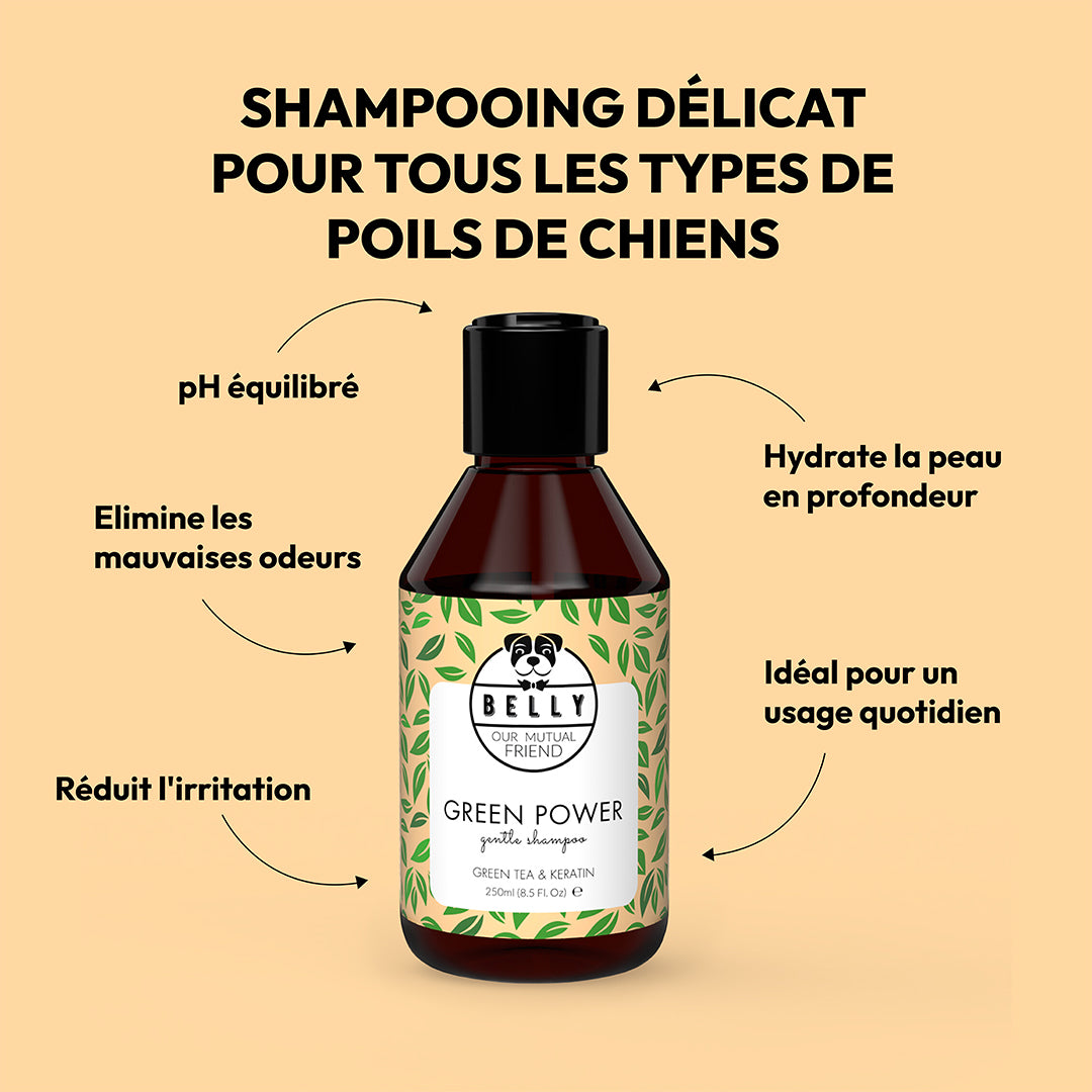 Shampooing à thé vert