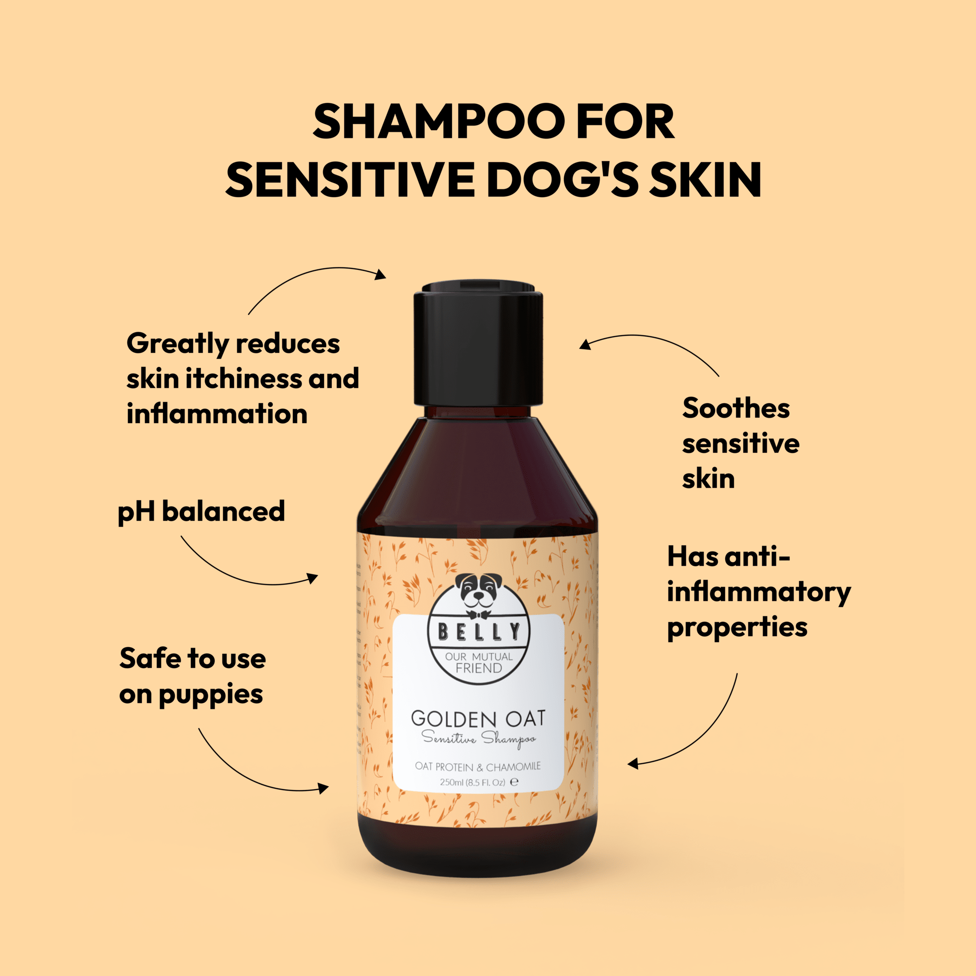 Shampooing pour tous les types de poils de chiens