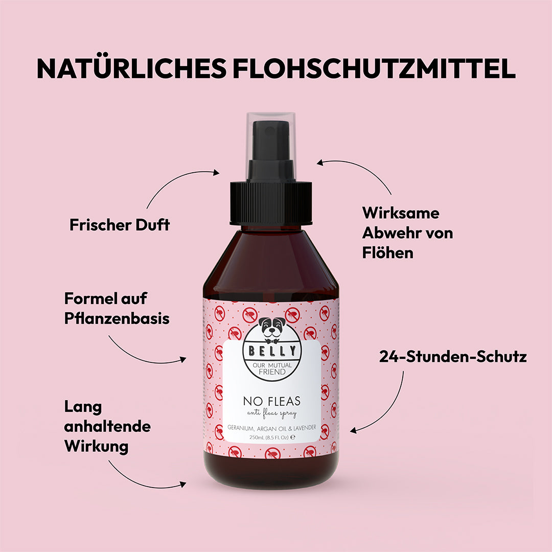 Anti -Flöhe Spray