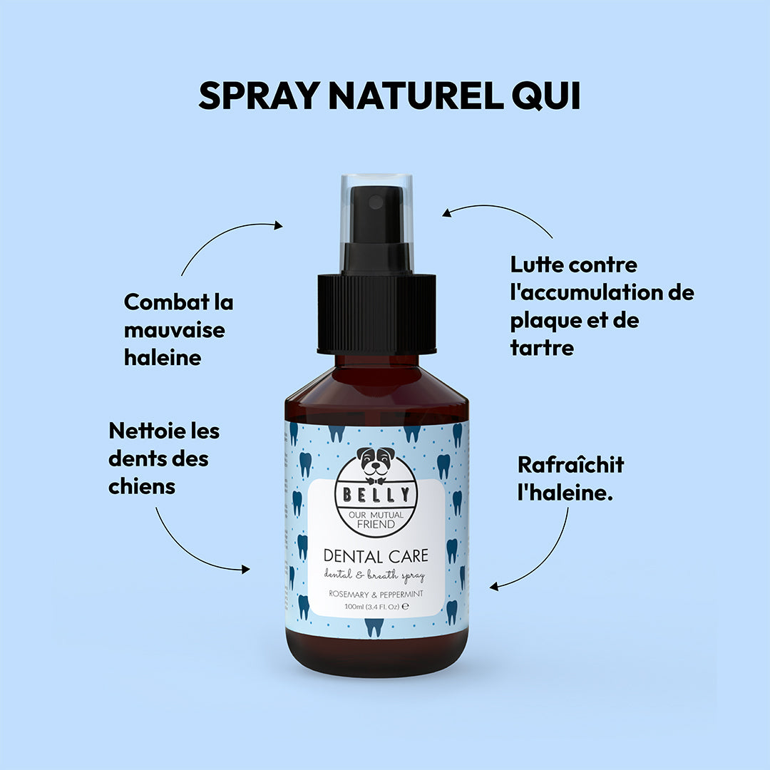 Pulvérisation de soins dentaires