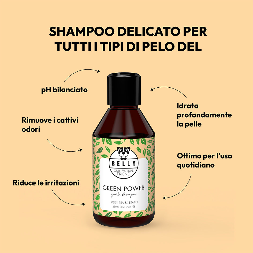 Shampoo da tè verde