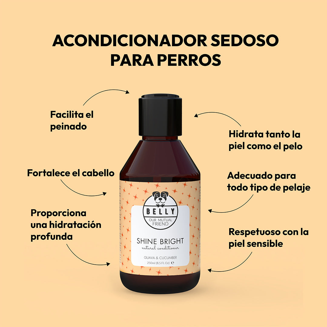 Acondicionador de brillo