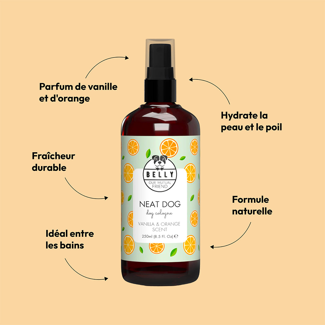 Conseil de chien soigné vanille et orange