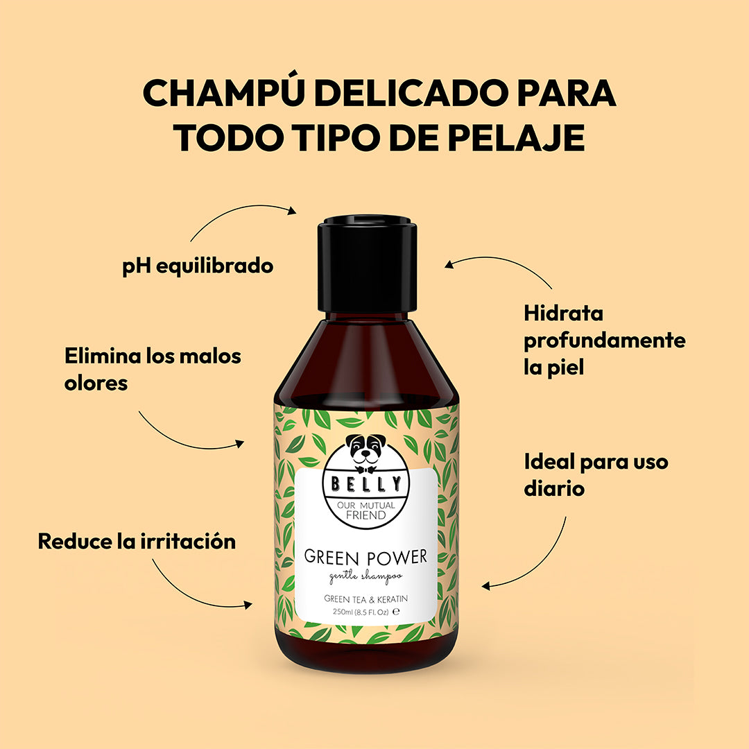 Champú de té verde