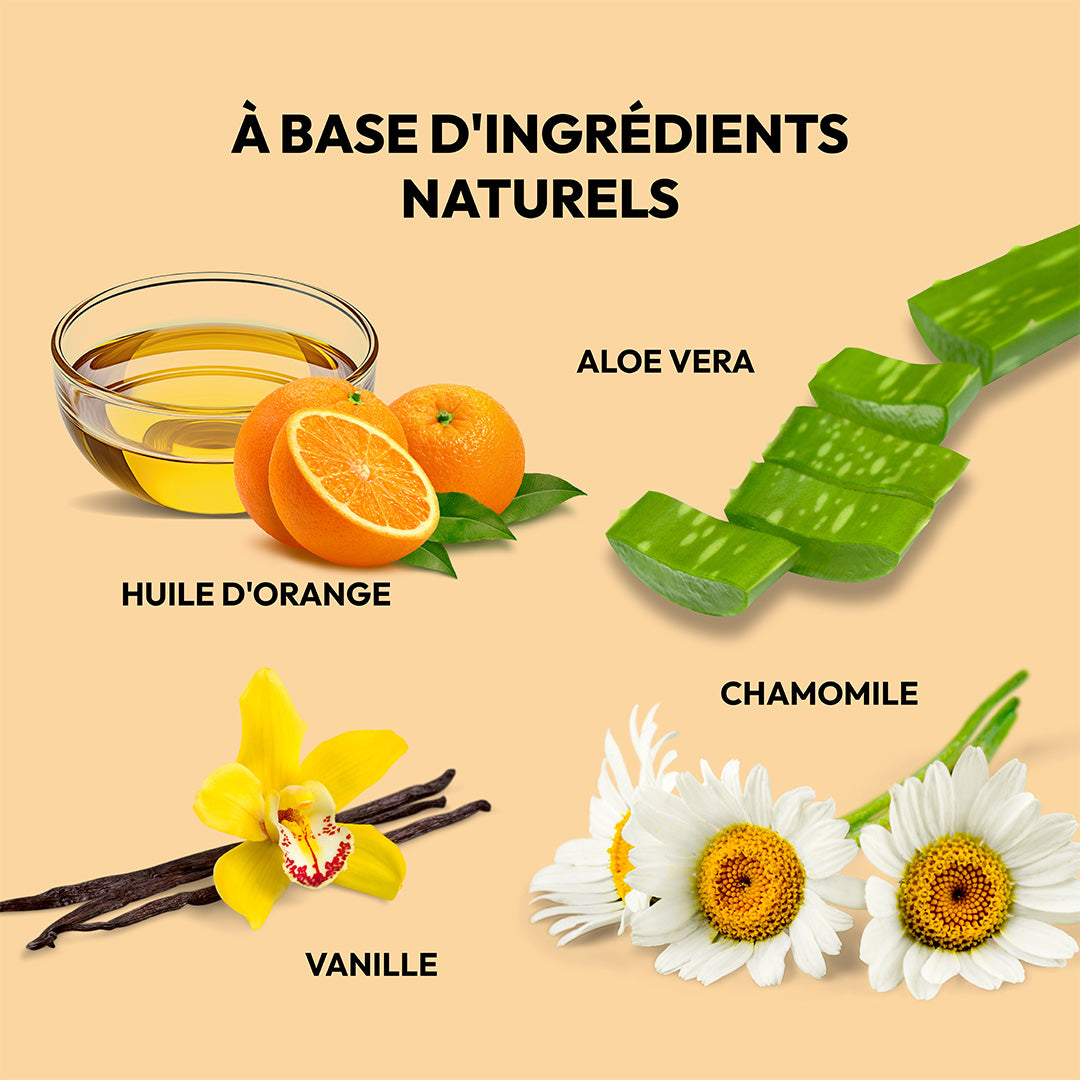 Conseil de chien soigné vanille et orange