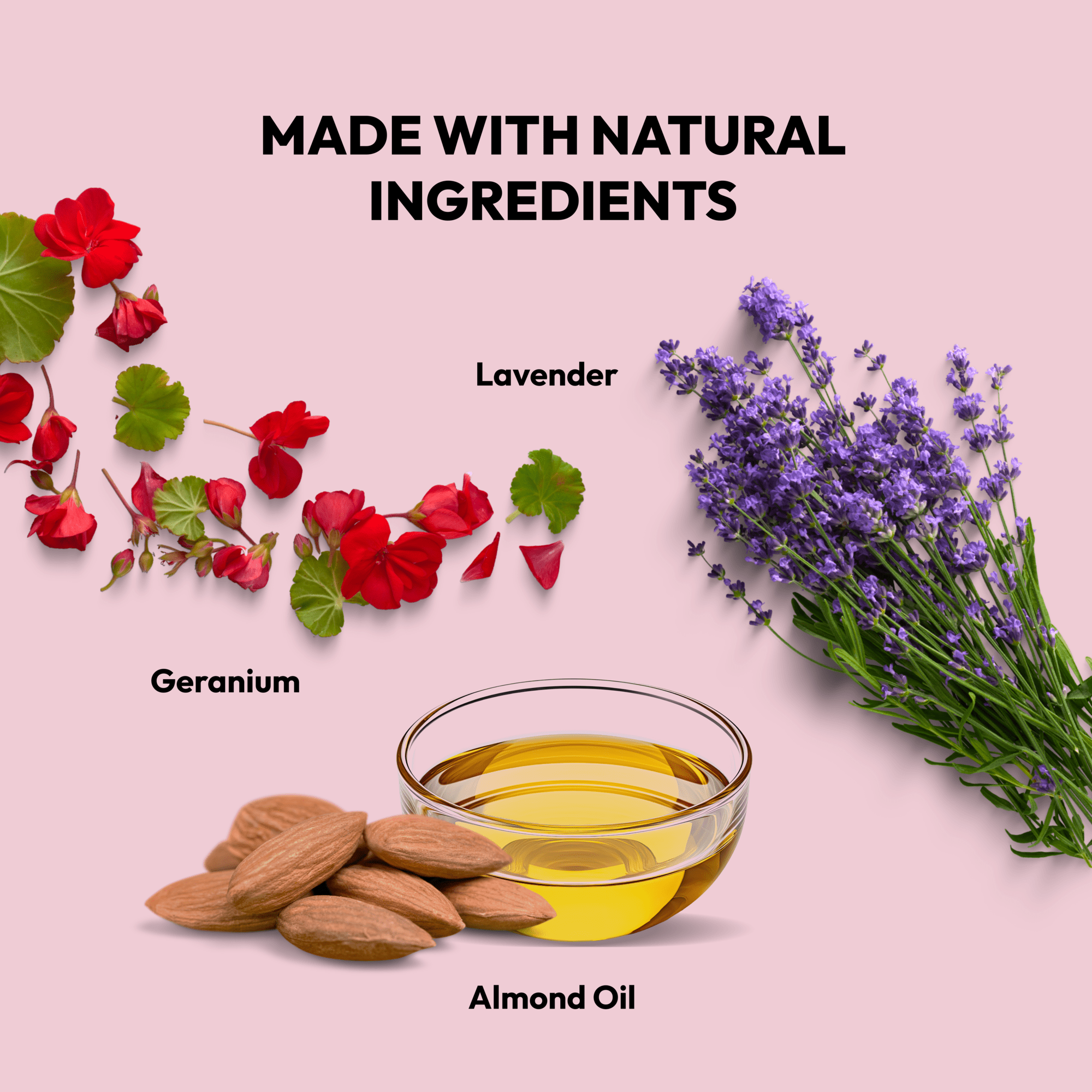 Flea Tick Treatment Spray for Dogs Natural Repellent Formula BellyDog