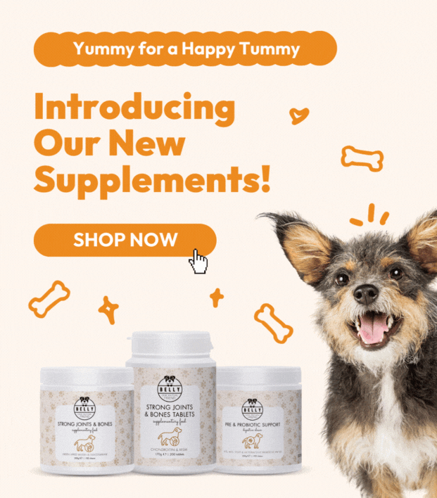 Natural pet online mobile grooming