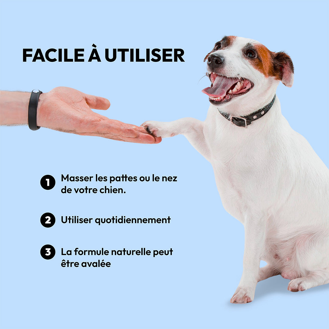 Paw et crème au nez