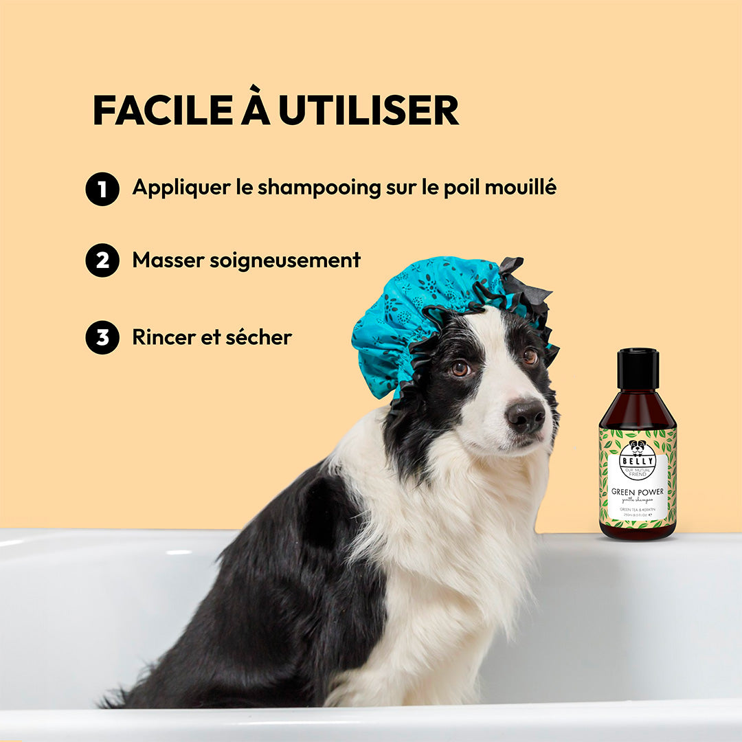 Shampooing à thé vert