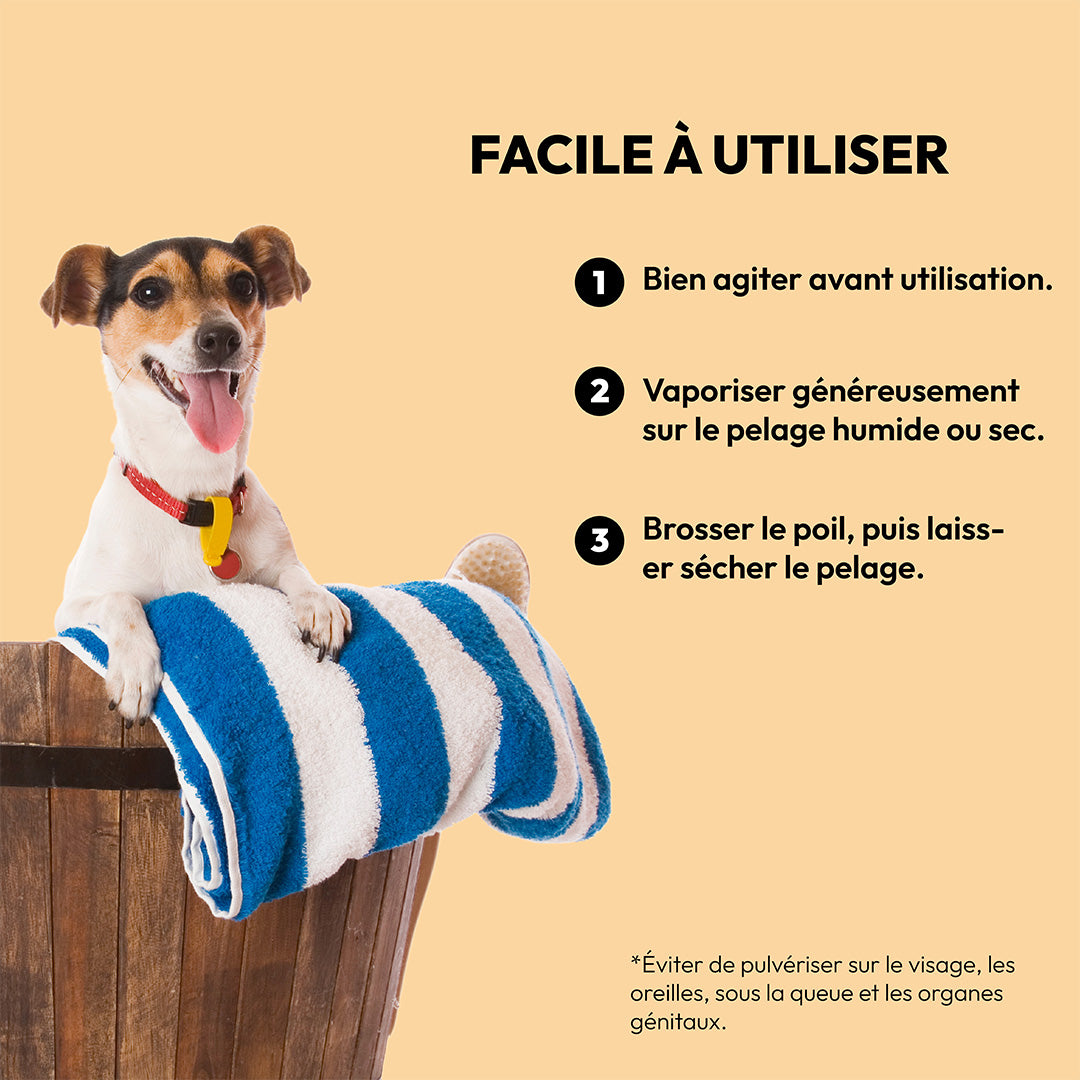 Chien soigné coton frais