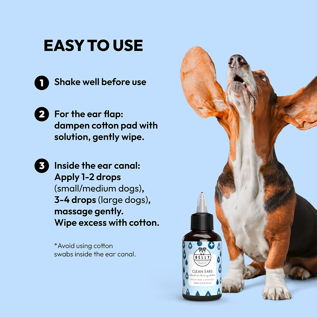 Stunning Natural Dog Ear Cleaning image