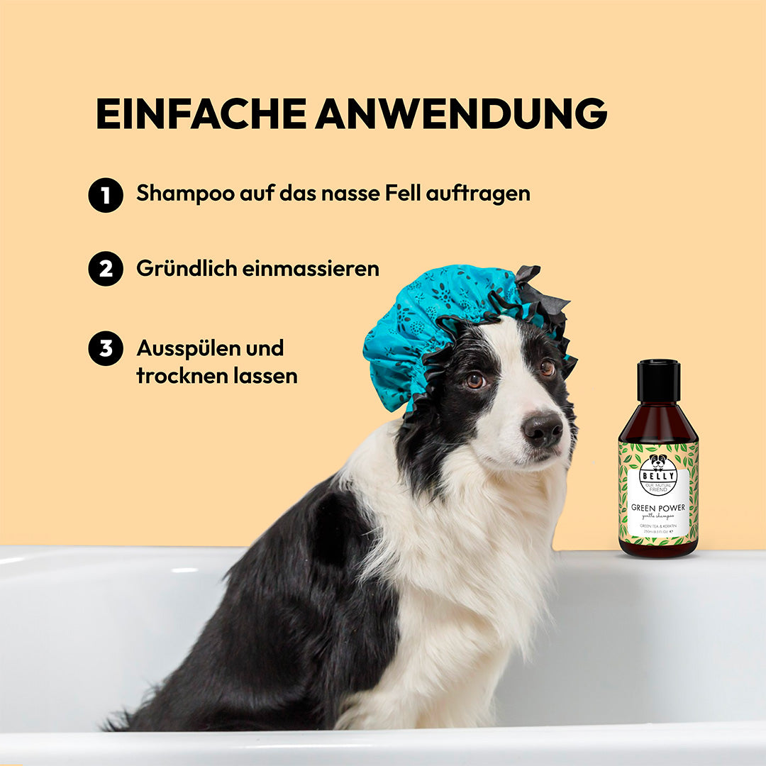 Grüner Tee Shampoo