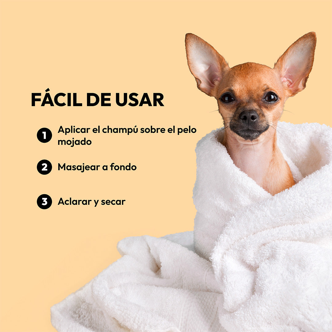 Acondicionador de brillo