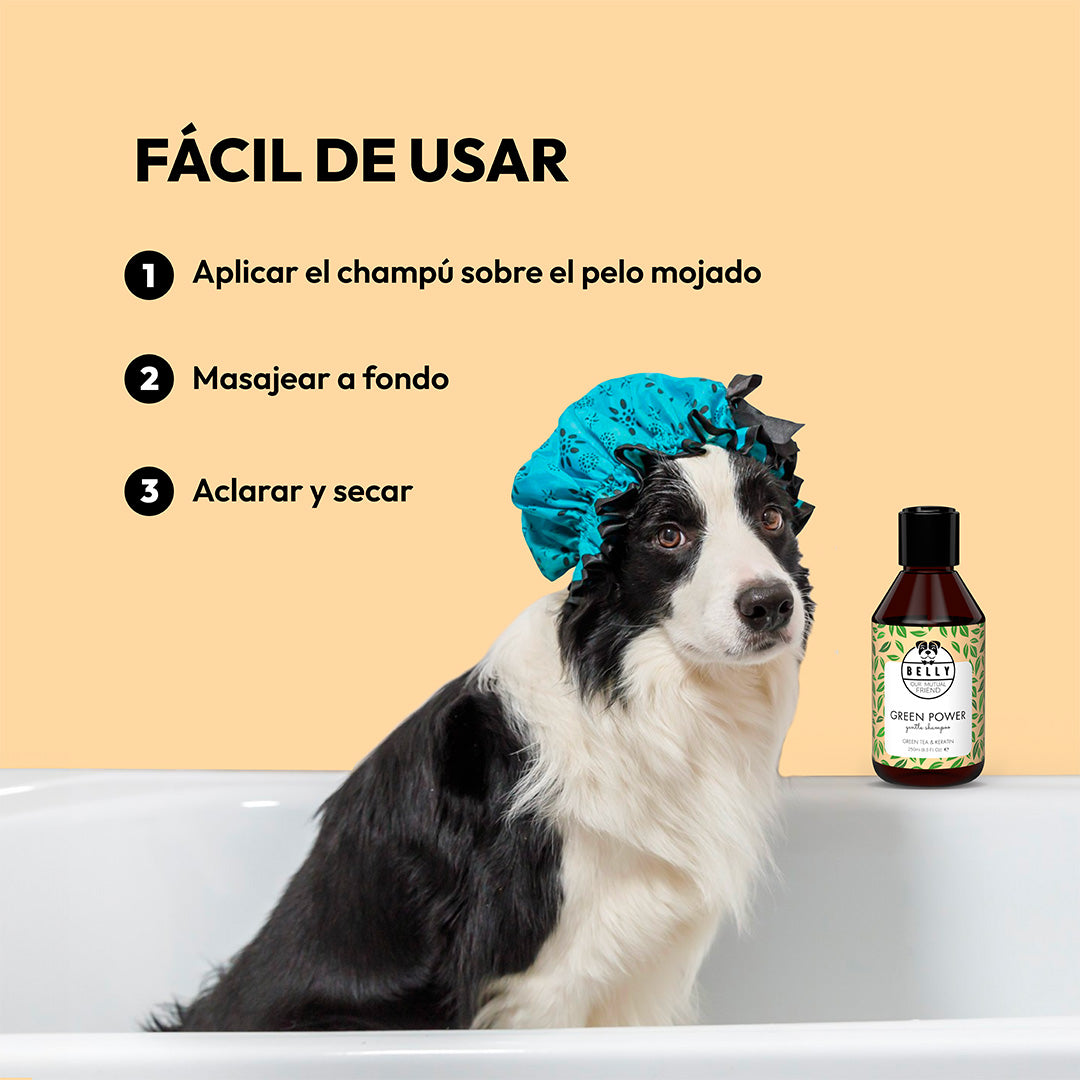 Champú de té verde