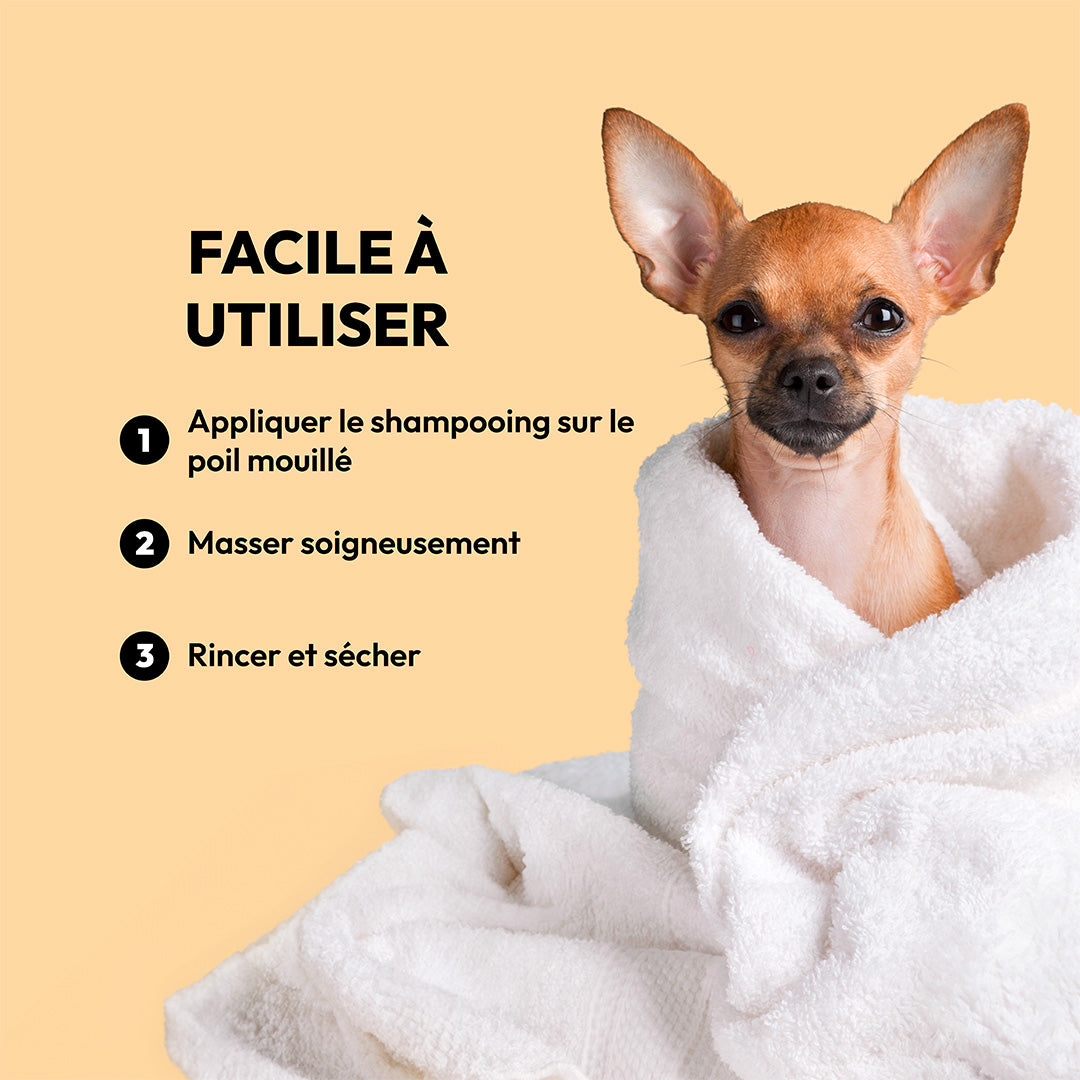 Conditionneur de brillance