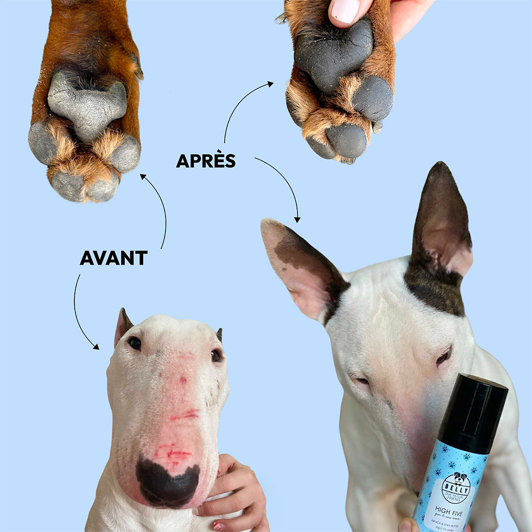 Paw et crème au nez