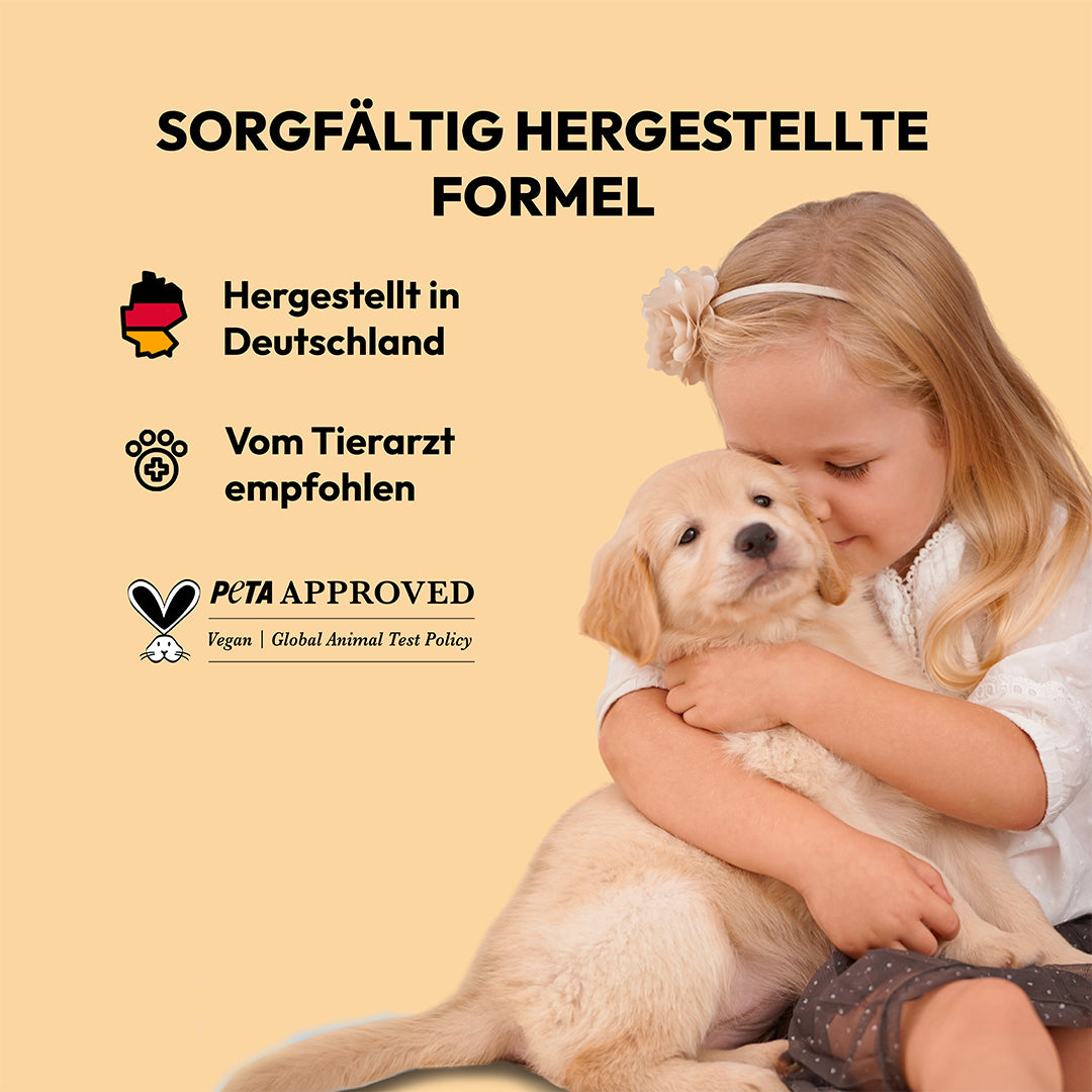 Ordentlicher Hund frische Baumwolle