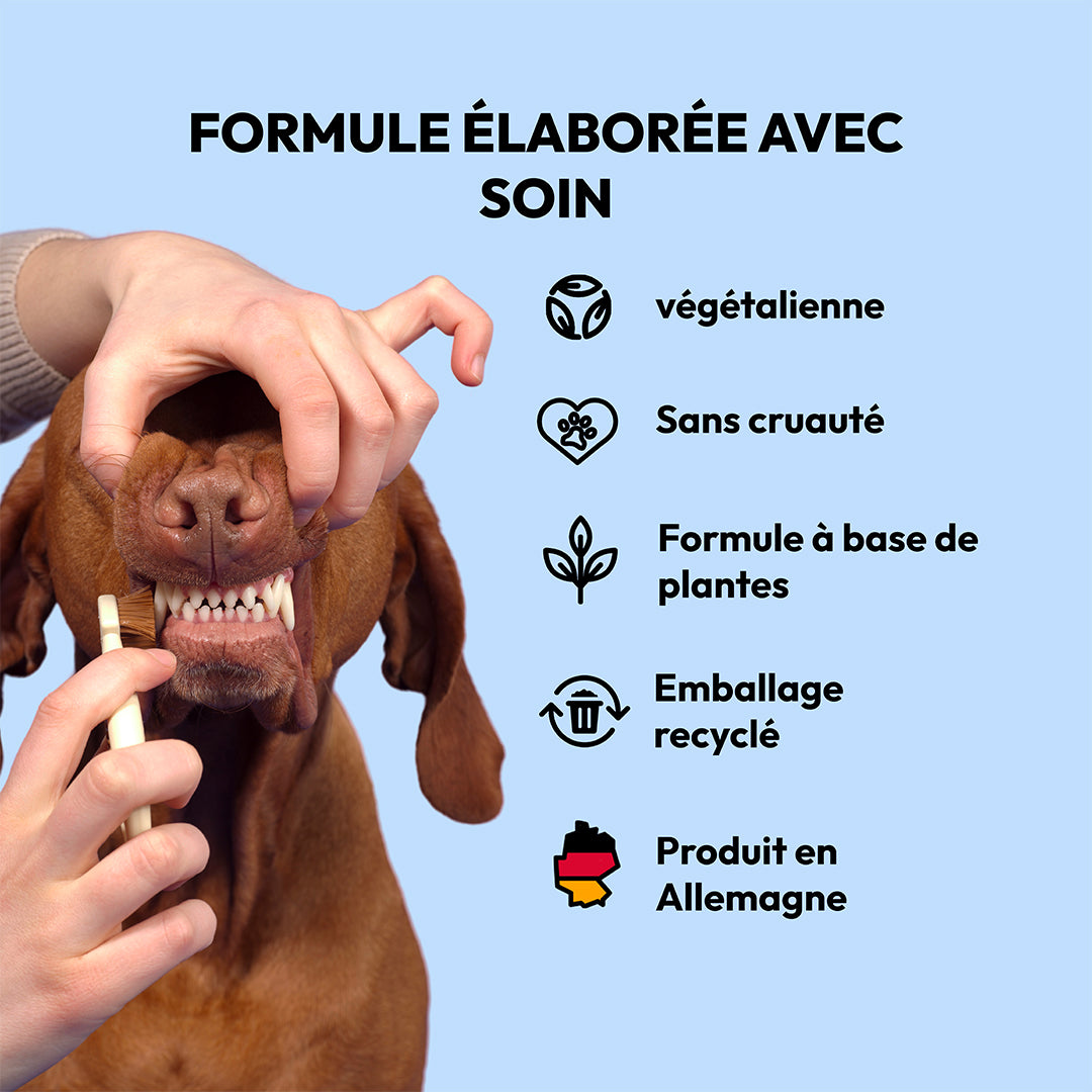 Pulvérisation de soins dentaires