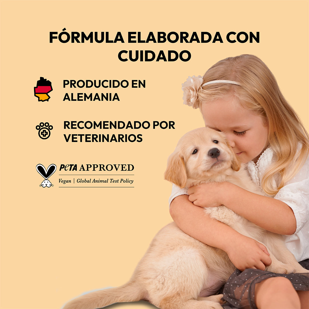 Fragancia de perro ordenado frangipani