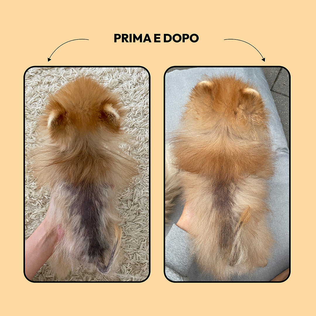 Shampoo da tè verde