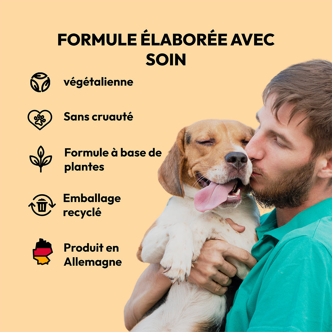 Shampooing à thé vert